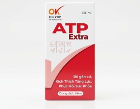 OK ATP EXTRA 100ml