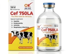 OK CEF 750LA 100ml