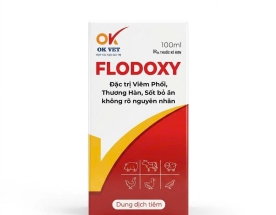 OK FLODOXY 100ml