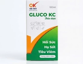 OK GLUCO KC 100ml