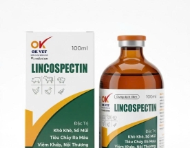 OK LINCOSPECTIN 100ml