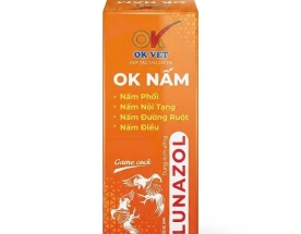 OK NẤM 10ML