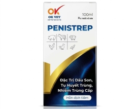OK PENISTREP 100ML