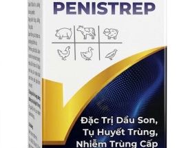 OK PENISTREP-20ml