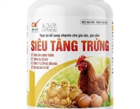 OK SIÊU TĂNG TRỨNG - HỘP 1KG