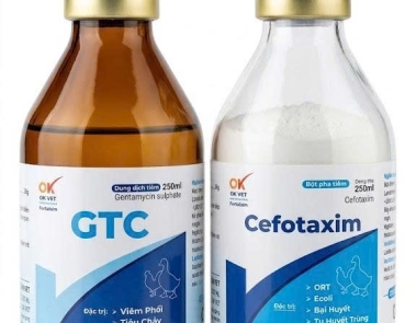 OK CEFOTAXIM - 250ML