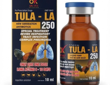 OK TULA - LA 250 10ml tiêm