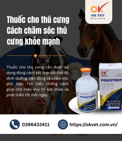 Thuốc cho thú cưng Cách chăm sóc thú cưng khỏe mạnh