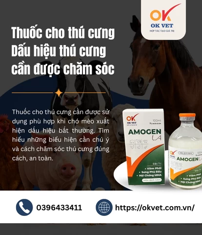 Thuốc cho thú cưng Dấu hiệu thú cưng cần được chăm sóc