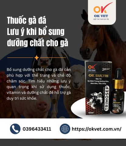 Thuốc gà đá Lưu ý khi bổ sung dưỡng chất cho gà