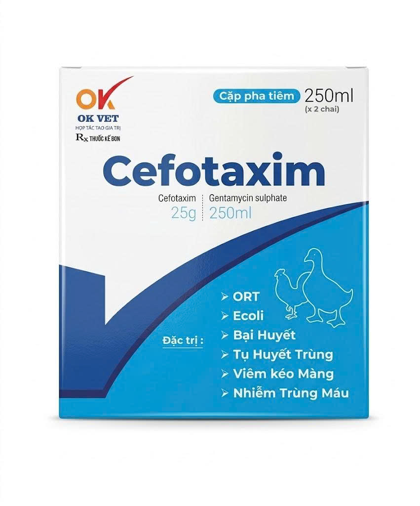 OK CEFOTAXIM - 250ML-1