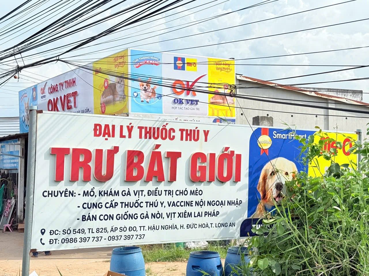 OK VET – Người bạn đồng hành chăm sóc sức khỏe vật nuôi toàn diện