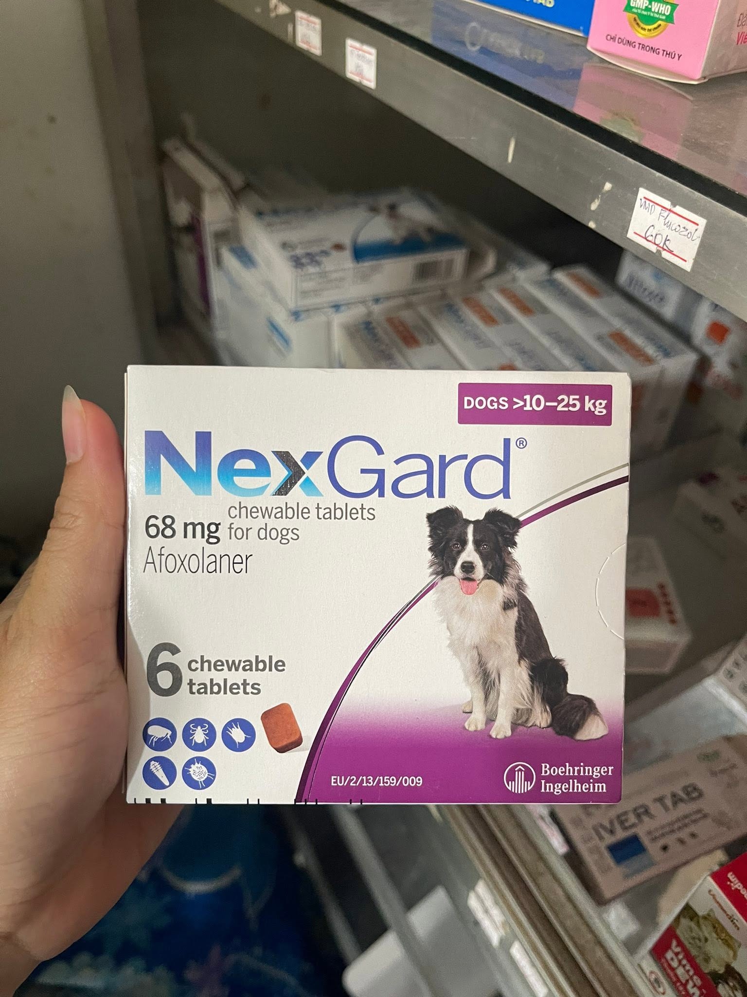 Thấu hiểu ngôn ngữ không lời của người bạn nhỏ