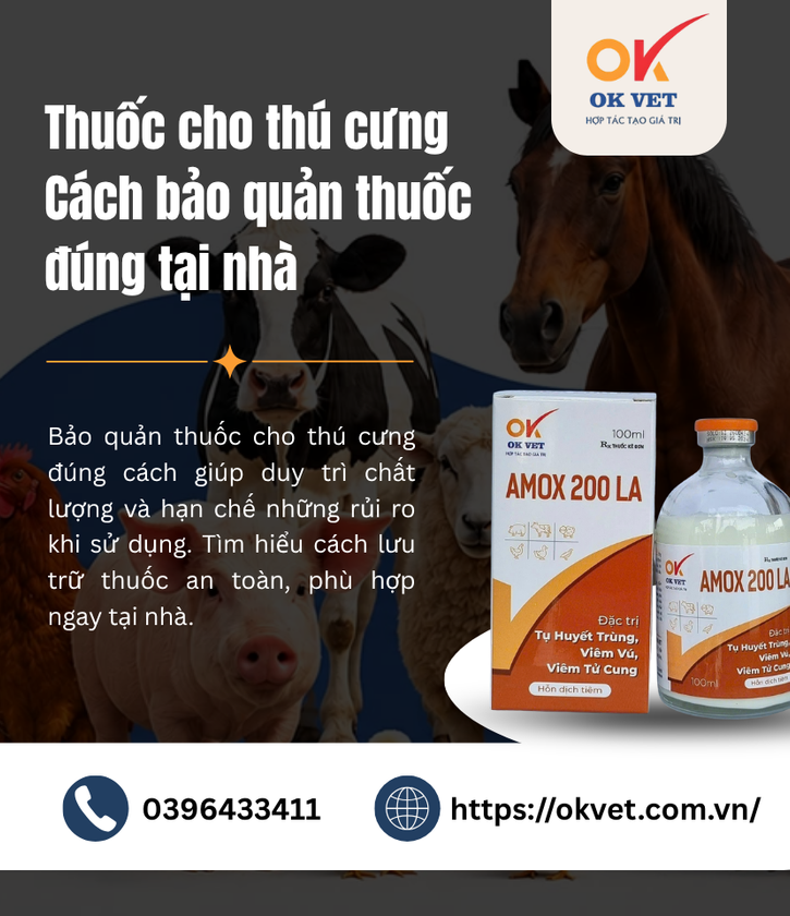 Thuốc cho thú cưng Cách bảo quản thuốc đúng tại nhà