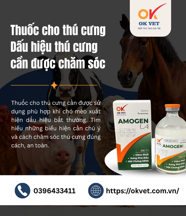 Thuốc cho thú cưng Dấu hiệu thú cưng cần được chăm sóc