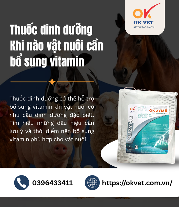 Thuốc dinh dưỡng Khi nào vật nuôi cần bổ sung vitamin