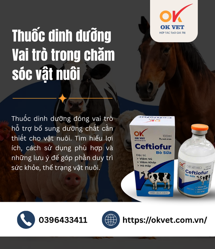 Thuốc dinh dưỡng Vai trò trong chăm sóc vật nuôi
