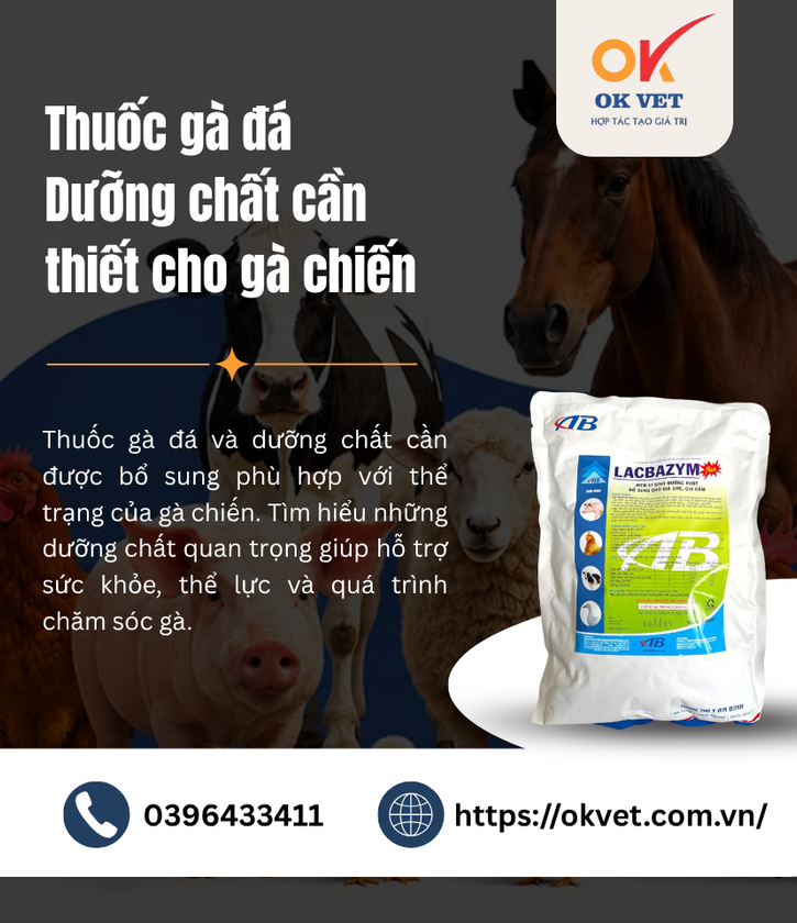 Thuốc gà đá Dưỡng chất cần thiết cho gà chiến