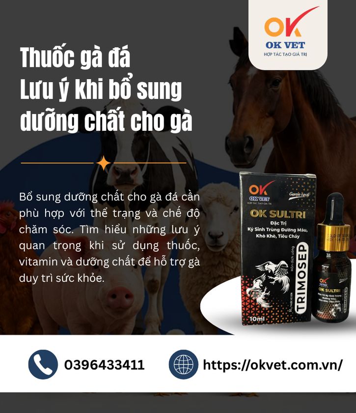 Thuốc gà đá Lưu ý khi bổ sung dưỡng chất cho gà