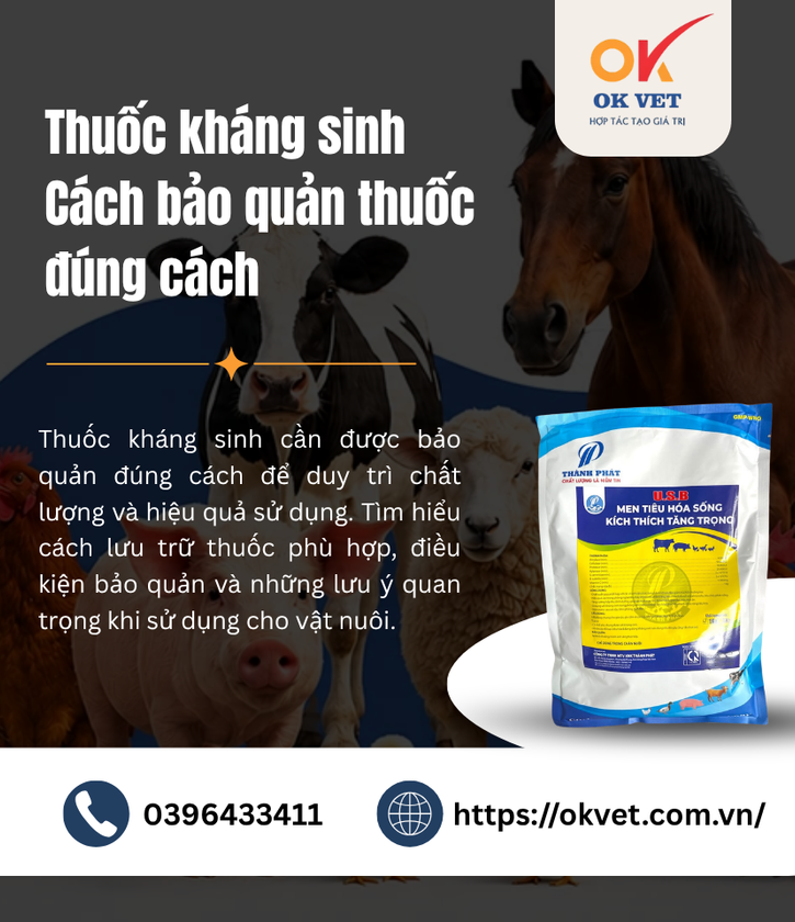 Thuốc kháng sinh Cách bảo quản thuốc đúng cách