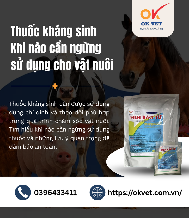 Thuốc kháng sinh Khi nào cần ngừng sử dụng cho vật nuôi