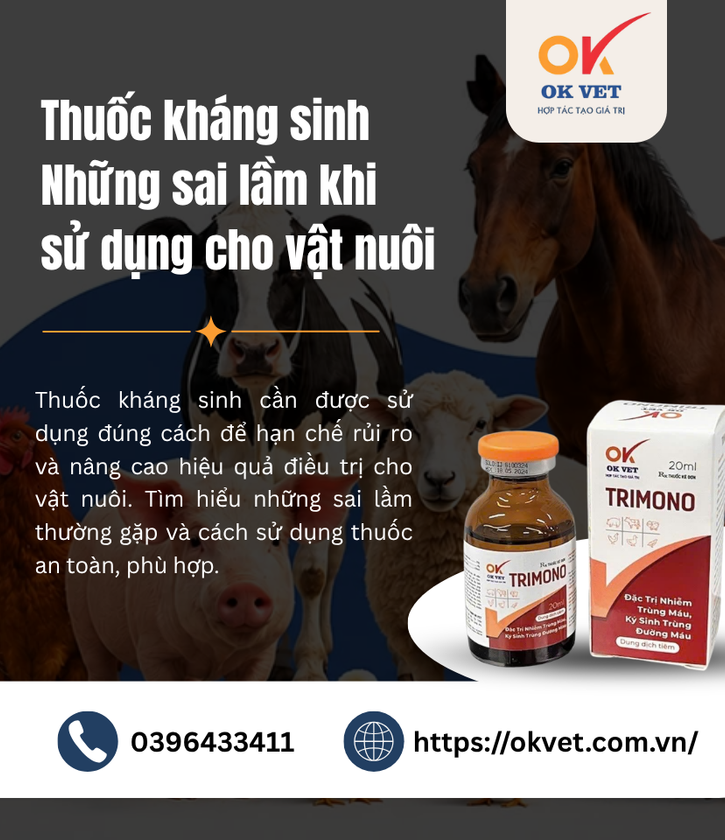 Thuốc kháng sinh Những sai lầm khi sử dụng cho vật nuôi
