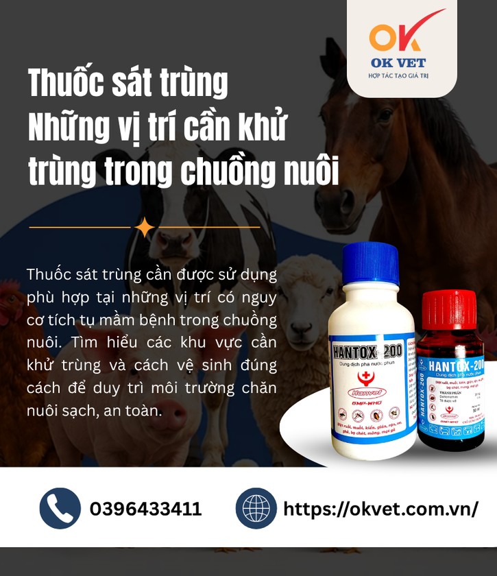 Thuốc sát trùng Những vị trí cần khử trùng trong chuồng nuôi