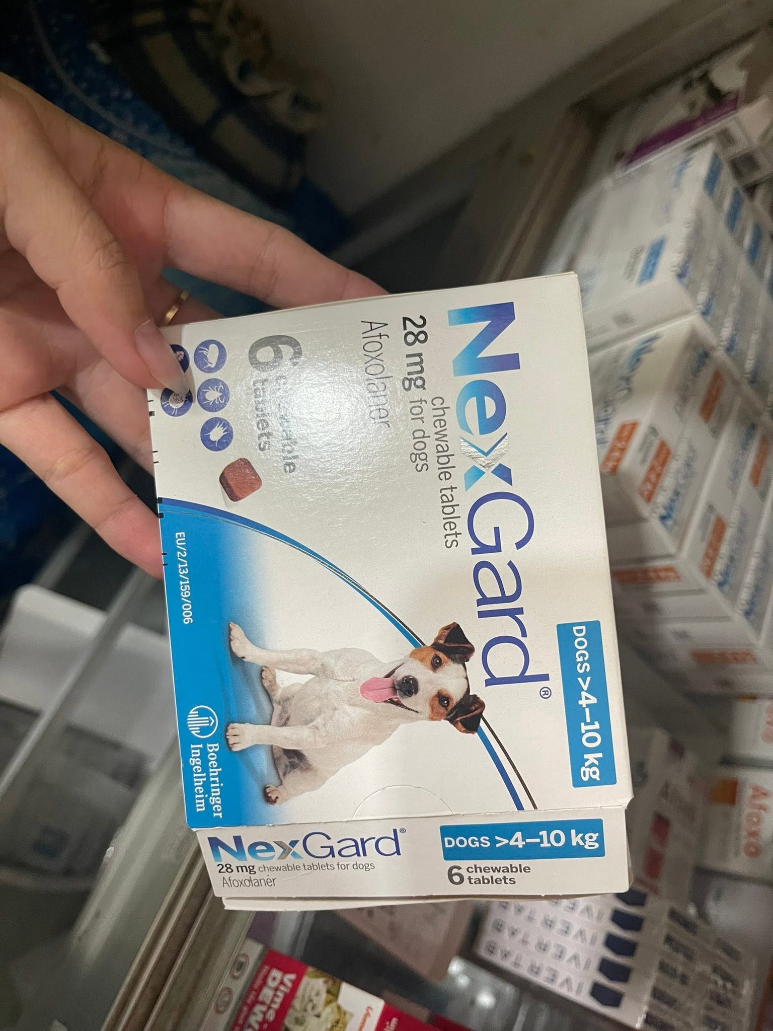 Thuốc cho thú cưng Hành trình đồng hành tràn đầy yêu thương cùng OK VET